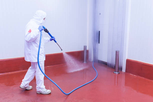 Professional Pressure Washing Services in San Diego, CA
